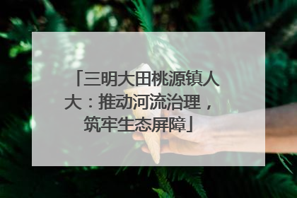 三明大田桃源镇人大：推动河流治理，筑牢生态屏障